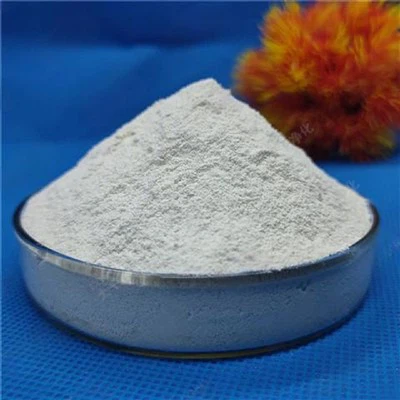 Sulfate ferreux monohydraté